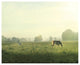"Farm Morning I" Digital Paper Print by Sue Schlabach, 26"x22"