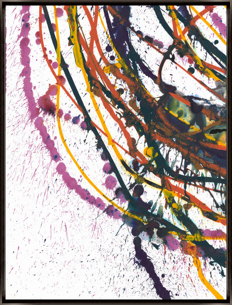 24x32 Couleurs Primaries V, Framed Artwork, Espresso