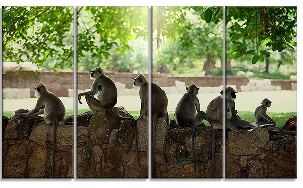 Troop of Monkeys in Sri Lanka, African Landscape Canvas Print, 48"x28", 4 Panels