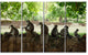 Troop of Monkeys in Sri Lanka, African Landscape Canvas Print, 48"x28", 4 Panels