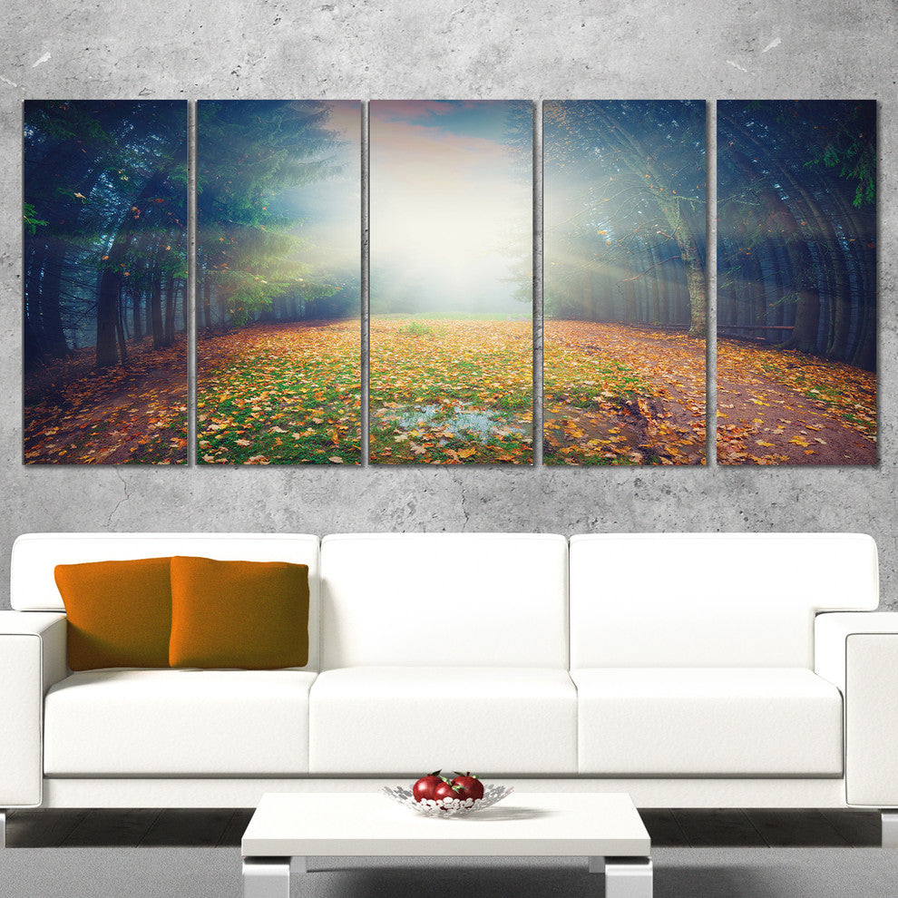 "Rising Sun Over Arched Forest" Landscape Photo Wall Art, 5 Panels, 60"x28"
