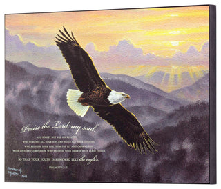Bald Eagle Psalm 103:2-5, Wall Plaque