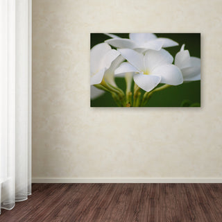 'Picture Perfect' Canvas Art by Monica Mize