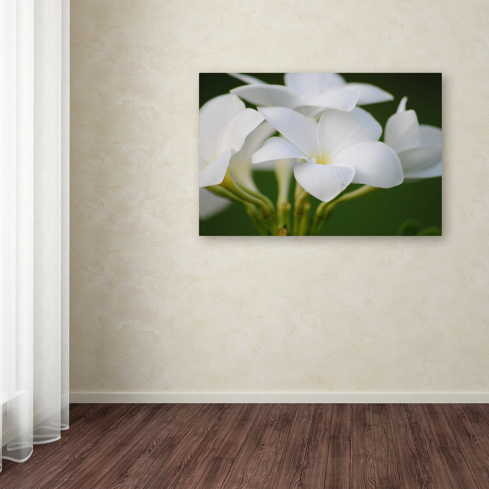 'Picture Perfect' Canvas Art by Monica Mize