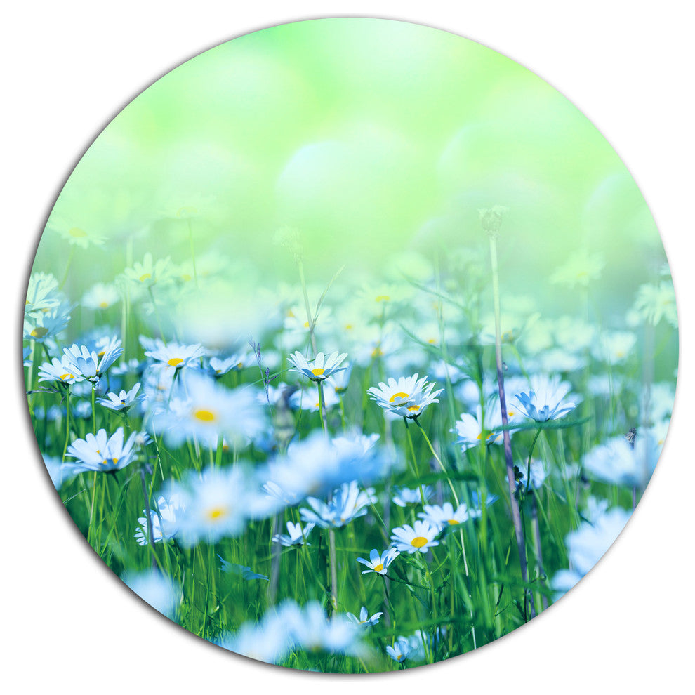 Chamomile Flowers On Green Background, Flower Round Metal Wall Art, 11"