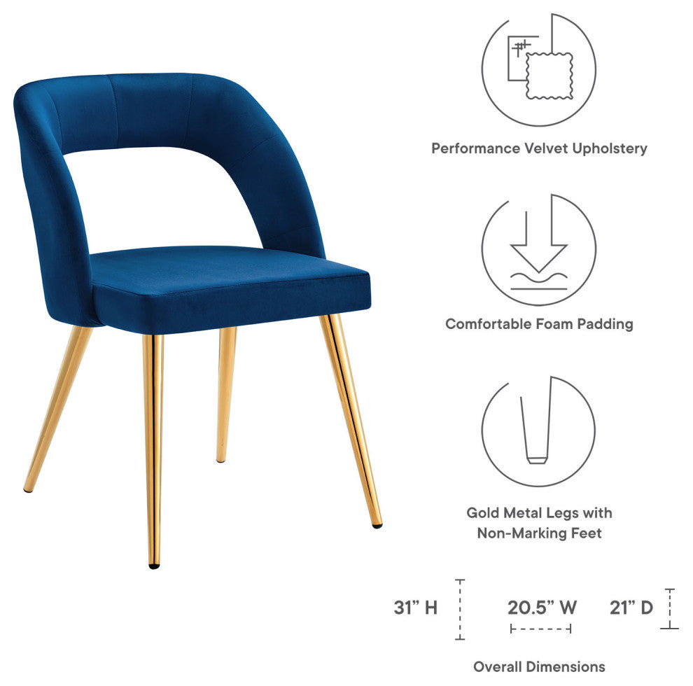 Dining Chair, Set of 2, Navy Gold, Velvet, Modern Cafe Bistro Hospitality