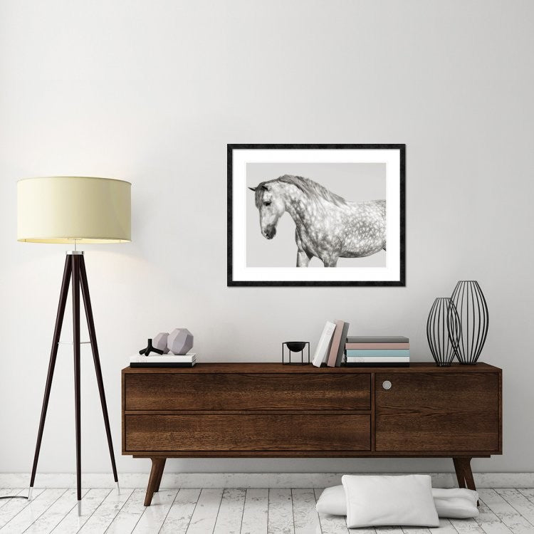 "Leia, Andalusian Pony" Framed Digital Print by Pangea Images, 40x32"