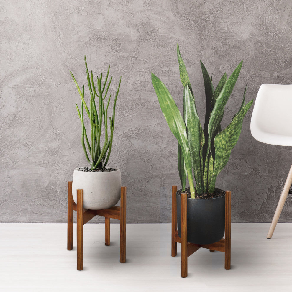Wood Plant Display Stand, 10"