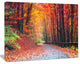 Road in Beautiful Autumn Forest, Modern Forest Canvas Art, 40"x30"