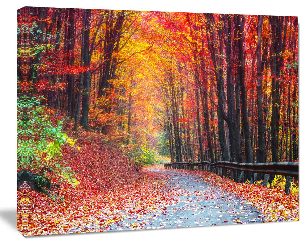 Road in Beautiful Autumn Forest, Modern Forest Canvas Art, 40"x30"