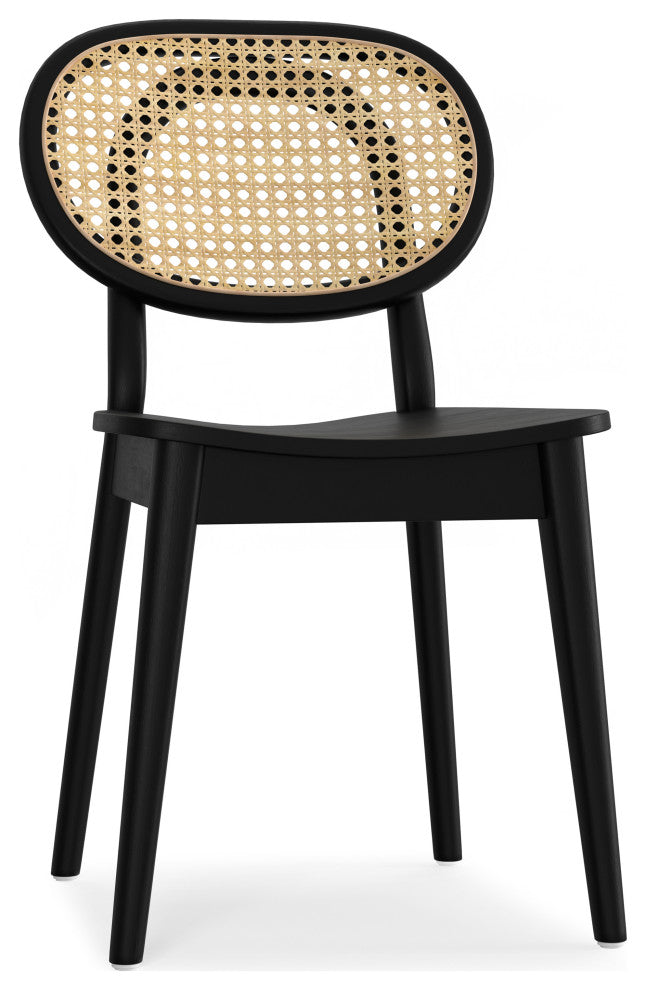 Rachel Dining Chair (Set of 2) in Black