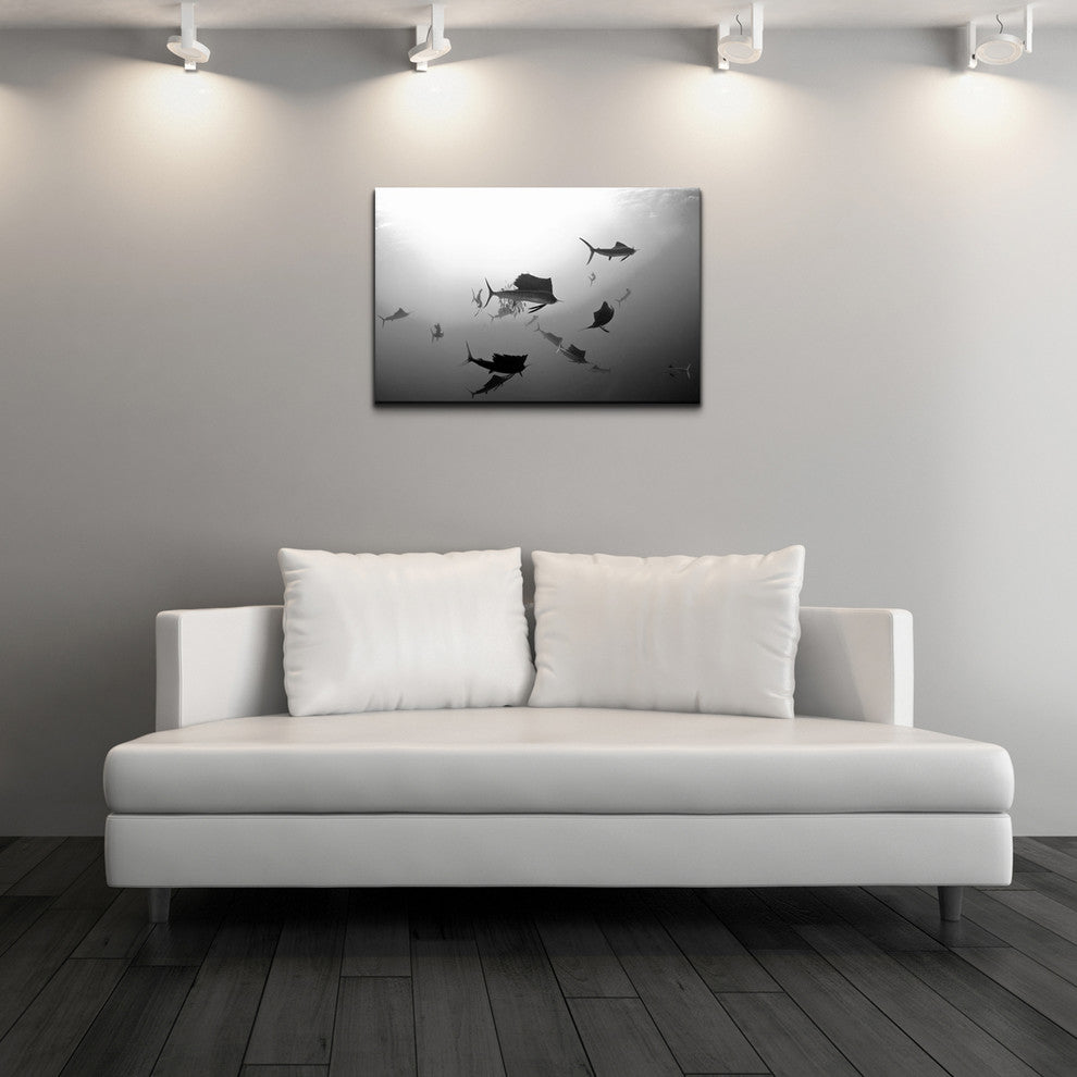 Ready2hangart Christopher Doherty Photography 'Sailfish' Canvas Wall Art