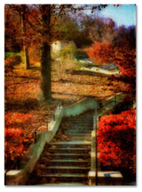 'Autumn Stairway' Canvas Art by Lois Bryan