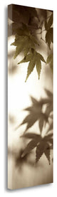 97" Focused Forest Leaves 2 Giclee Wrap Canvas Wall Art