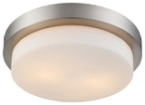 Golden Lighting Multi-Family Flush Mount, Pewter