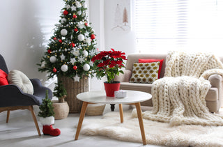 Gold Colored Christmas Stars Christmas Polyester Throw Pillow, 20"x20"