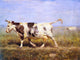 Michael Therkildsen A Cow on a Path, 21"x28" Wall Decal