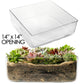 Large Glass Square Vase H:5" Open:14"x14" Square Centerpieces Wedding Vases , Pack of 1
