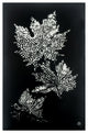 Benzara BM232518 Rectangular Floral Wall Art With LED, Black and Silver