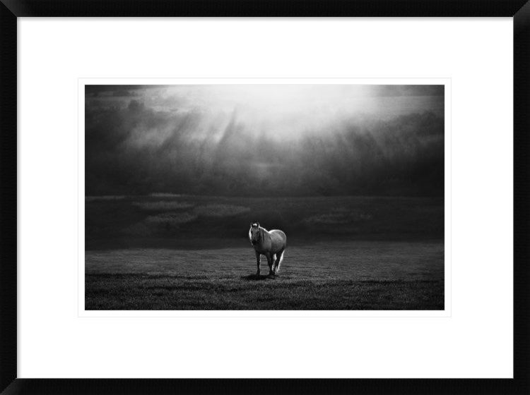 "Morning Appearance" Framed Digital Print by Peter Svoboda, 24"x17"