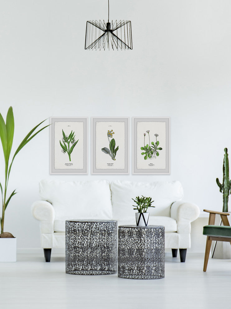 "Pulsatilla Flowers Triptych" Framed Prints, 12"x18", 3-Piece Set