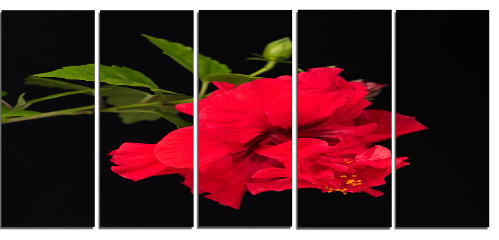 Bright Red Hibiscus on Black, Large Floral Canvas Art Print, 60"x28", 5 Panels