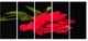 Bright Red Hibiscus on Black, Large Floral Canvas Art Print, 60"x28", 5 Panels