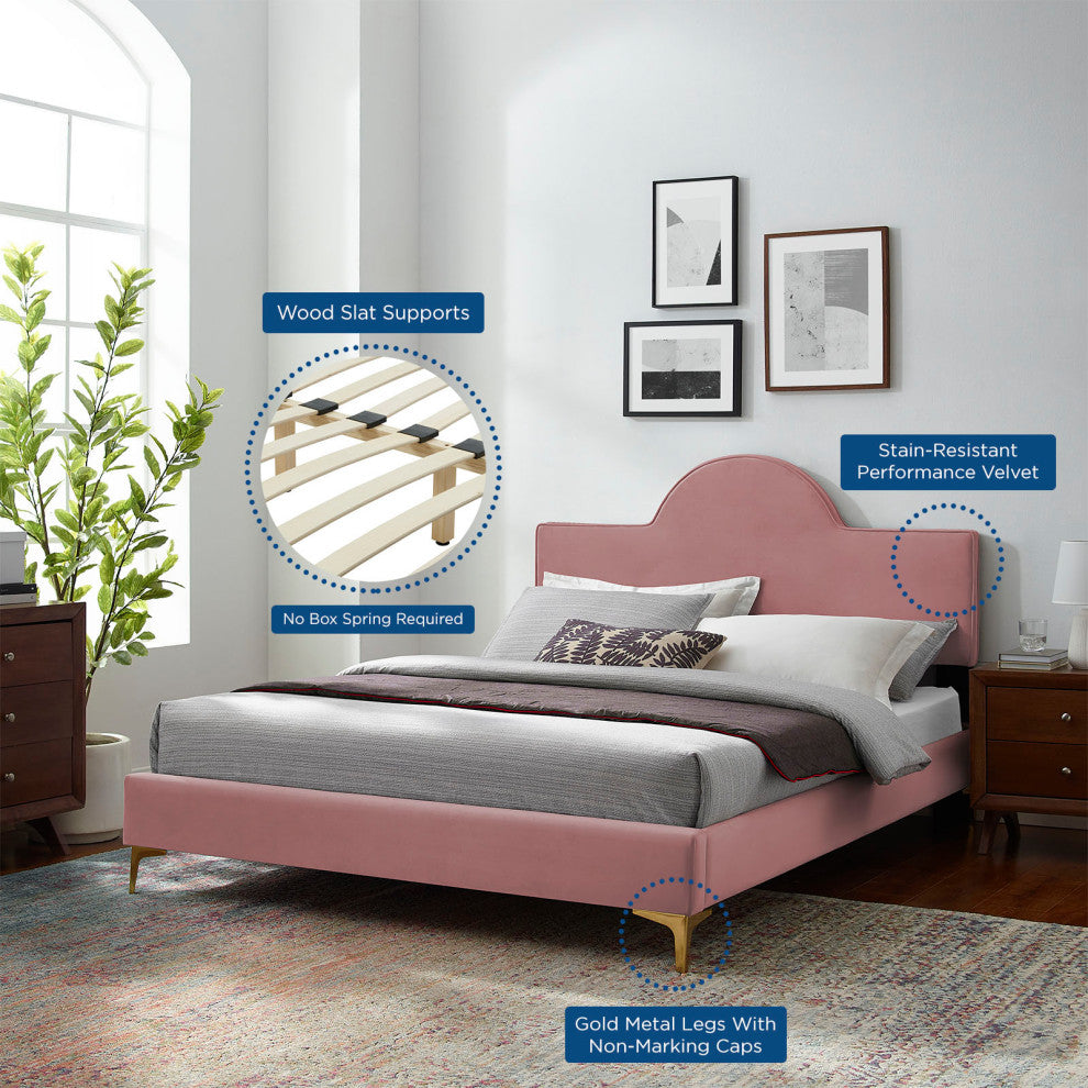 Platform Bed Frame, Queen Size, Pink, Velvet, Modern, Bedroom Guest Suite