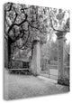 "Firenze - 1" By Alan Blaustein, Giclee Print on Gallery Wrap Canvas