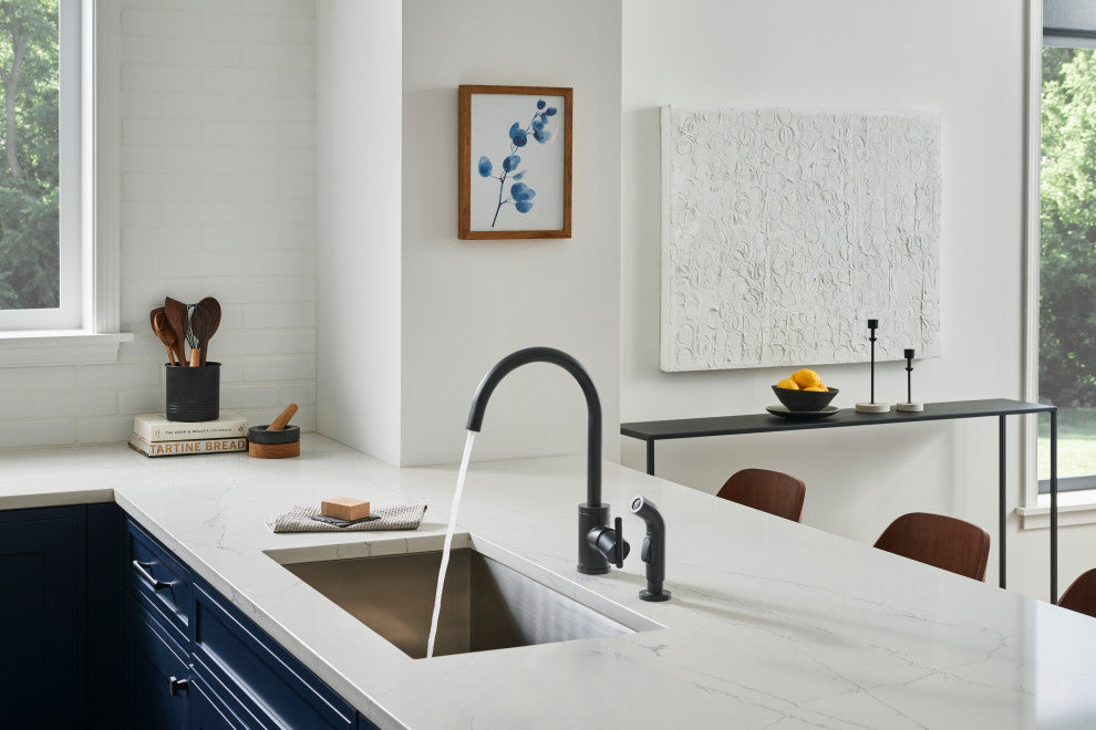 Parma Single Handle Kitchen Faucet w/ Spray, Satin Black
