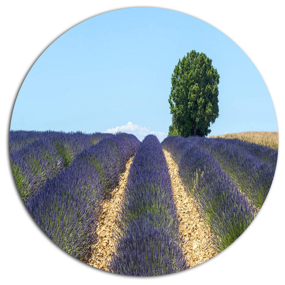 Beautiful Rows Of Lavender In France, Landscape Disc Metal Artwork, 23"