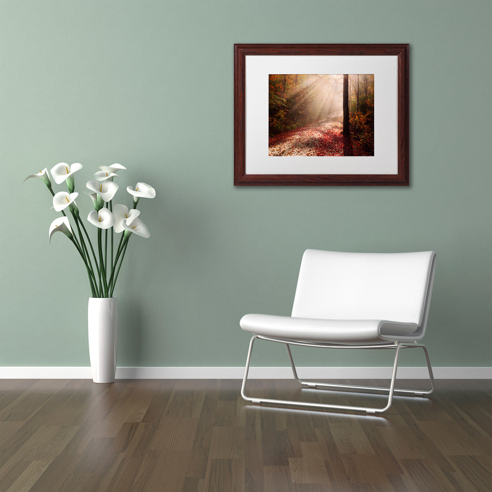 Michael Blanchette Photography 'Light in the Forest' Matted Framed Art, 20x16