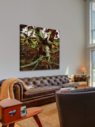 "Sycamore Tree" Painting Print on Wrapped Canvas