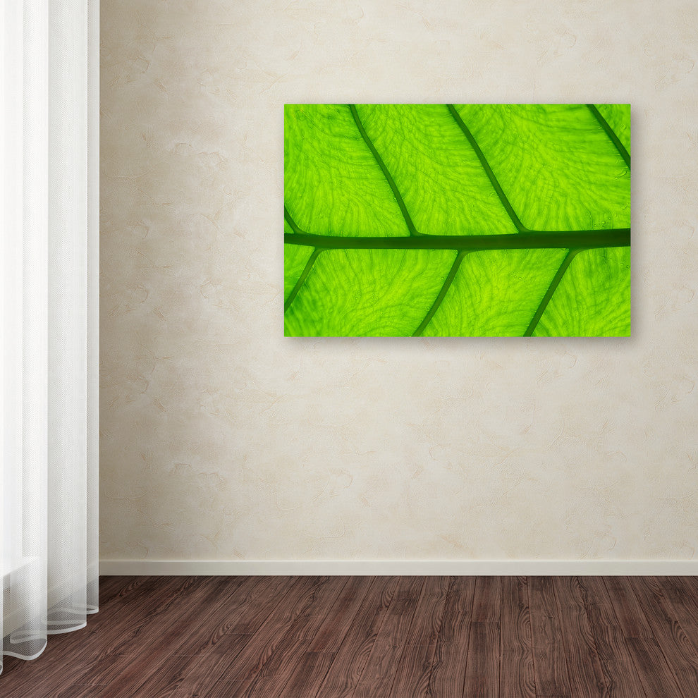 Cora Niele ''Leaf Texture III'' Canvas Art