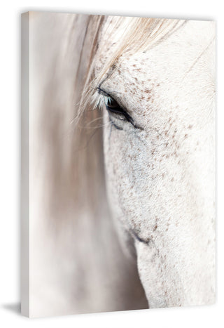 "Horse Eye" Art Print, 76x114 cm
