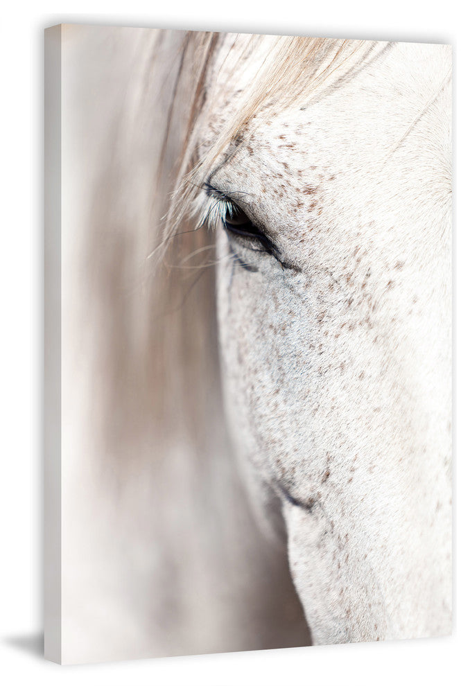 "Horse Eye" Art Print, 76x114 cm