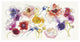 "Rainbow Ruffles" Digital Paper Print by Shirley Novak, 50"x26"