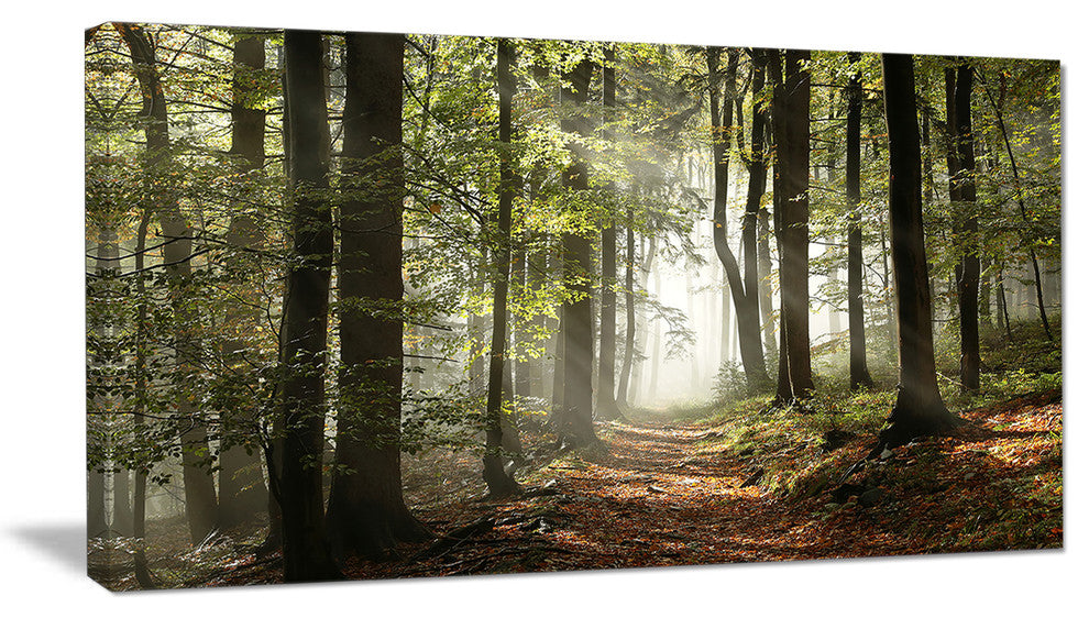 "Green Fall Forest With Sun Rays" Landscape Canvas Photo Print, 40"x20"