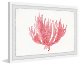 "Lone Coral" Framed Painting Print, 18"x12"
