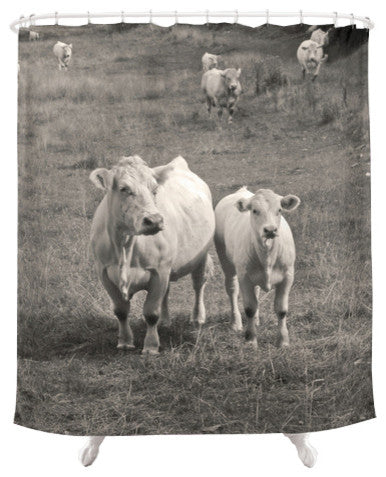 White Cows Shower Curtain