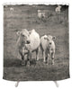 White Cows Shower Curtain