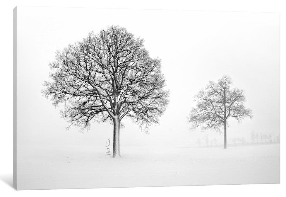"We Live And Die Together" by Ben Heine, Canvas Print, 18"x12"
