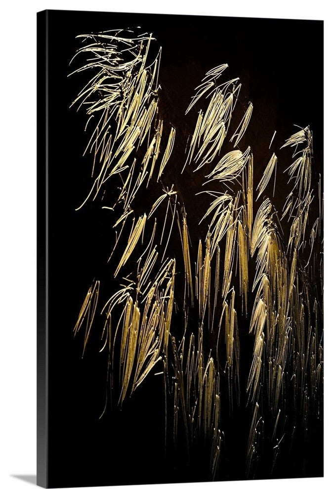 "Reeds" Wrapped Canvas Art Print, 32"x48"x1.5"