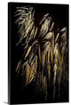 "Reeds" Wrapped Canvas Art Print, 32"x48"x1.5"