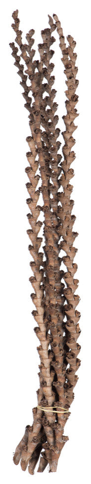 Vickerman H2Lad000 32-36" Ladder Branches Natural.7 Branches,Dried