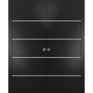 French Double Pocket Doors 48x96 | Planum 0210 Matte Black | Kit Trims Rail