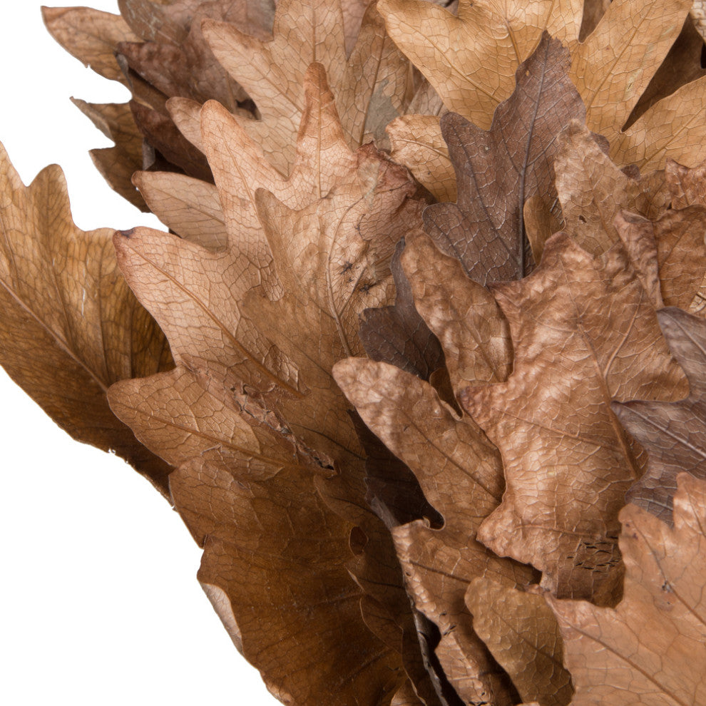 Vickerman 20" Oak Leaf, Natural on Natural Ting Ting, 100 pieces per Pack.