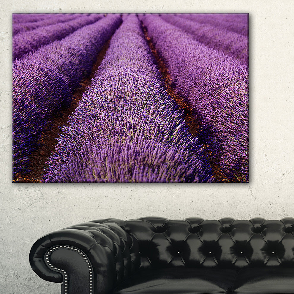"Endless Rows of Lavender Field" Landscape Wall Art Print, 1 Panel, 60"x28"
