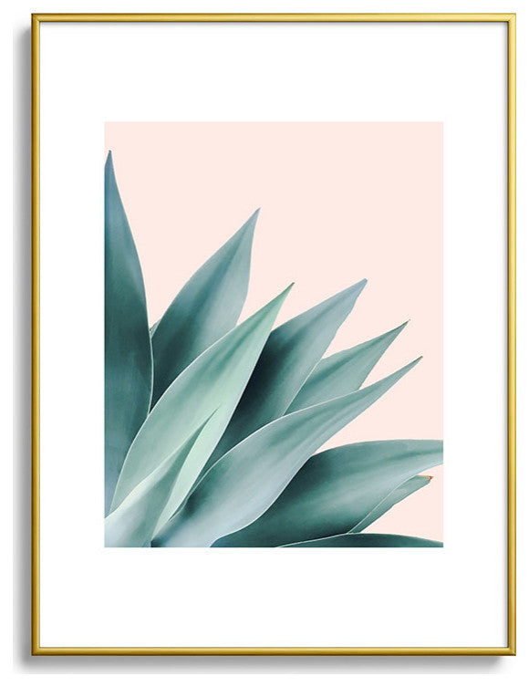 Gale Switzer Agave Flare II peach Metal Framed Art Print