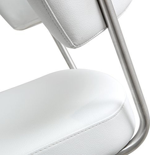 TOV Furniture Cosmo White Stainless Steel Barstool